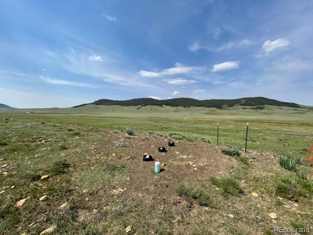 1233 Bar D Road Fairplay, CO 80440 - Photo 14 of 21 Gallery Image 14