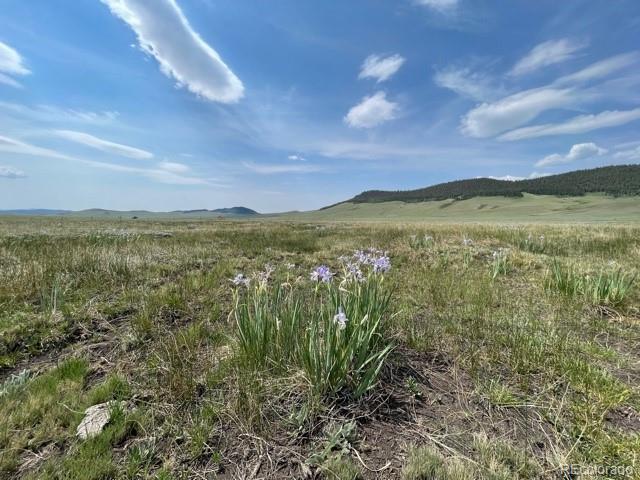 1233 Bar D Road Fairplay, CO 80440 - Photo 18 of 21 Gallery Image 18