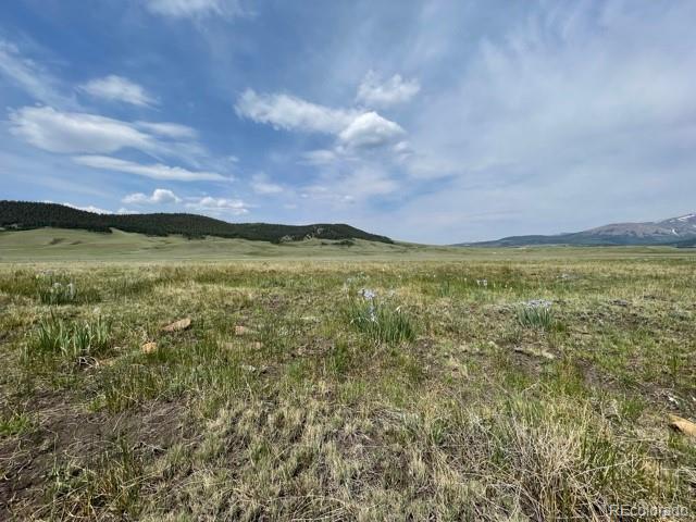 1233 Bar D Road Fairplay, CO 80440 - Photo 19 of 21 Gallery Image 19