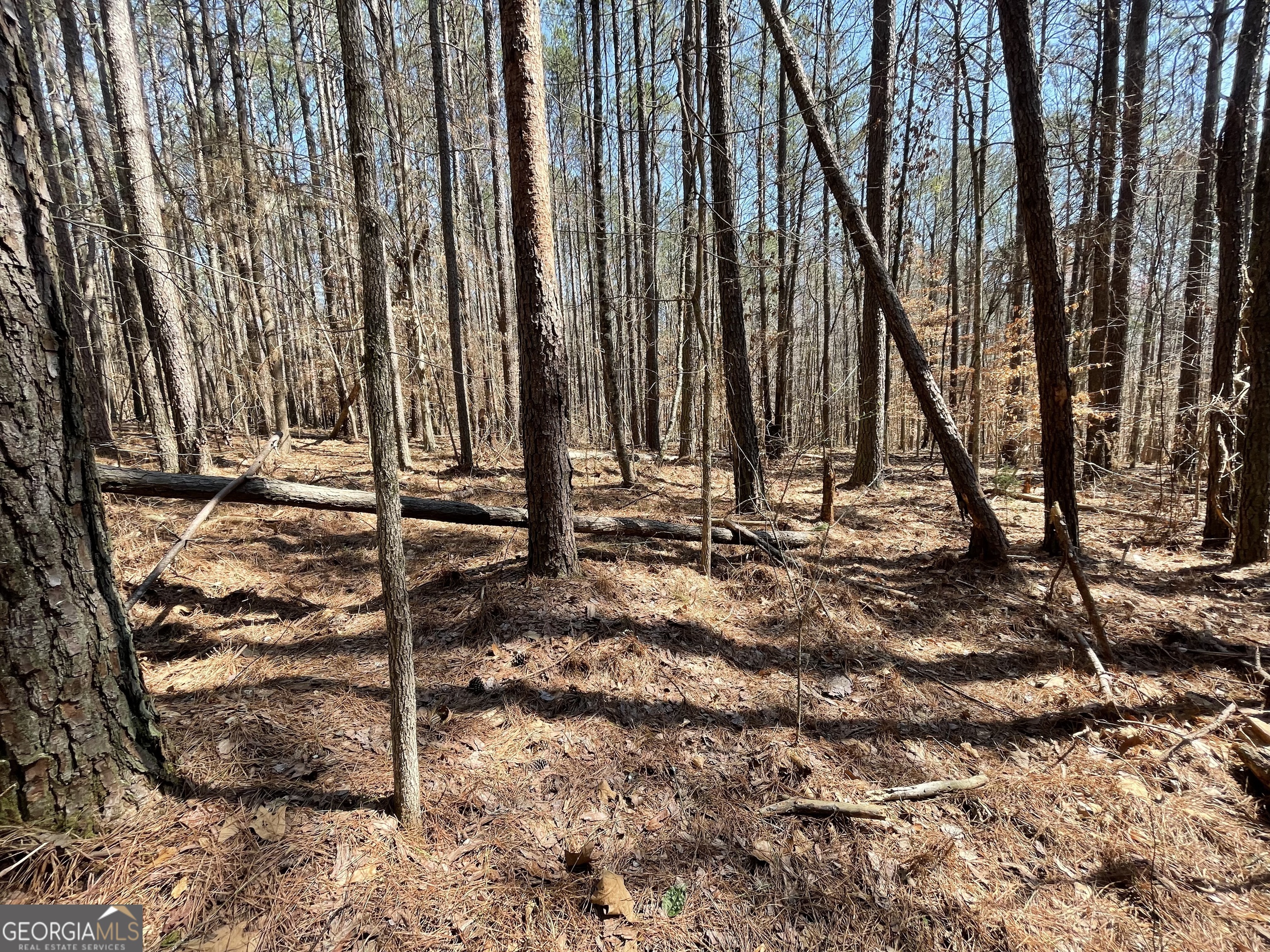 a view of wooden fence and trees