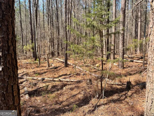 $79,000 | 0 Joe Cook Road, Unit 3, Franklin, GA 30217