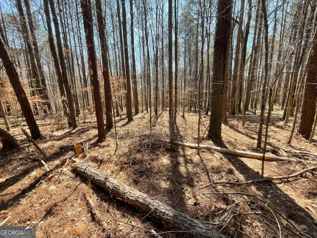 $79,000 | 0 Joe Cook Road, Unit 3, Franklin, GA 30217