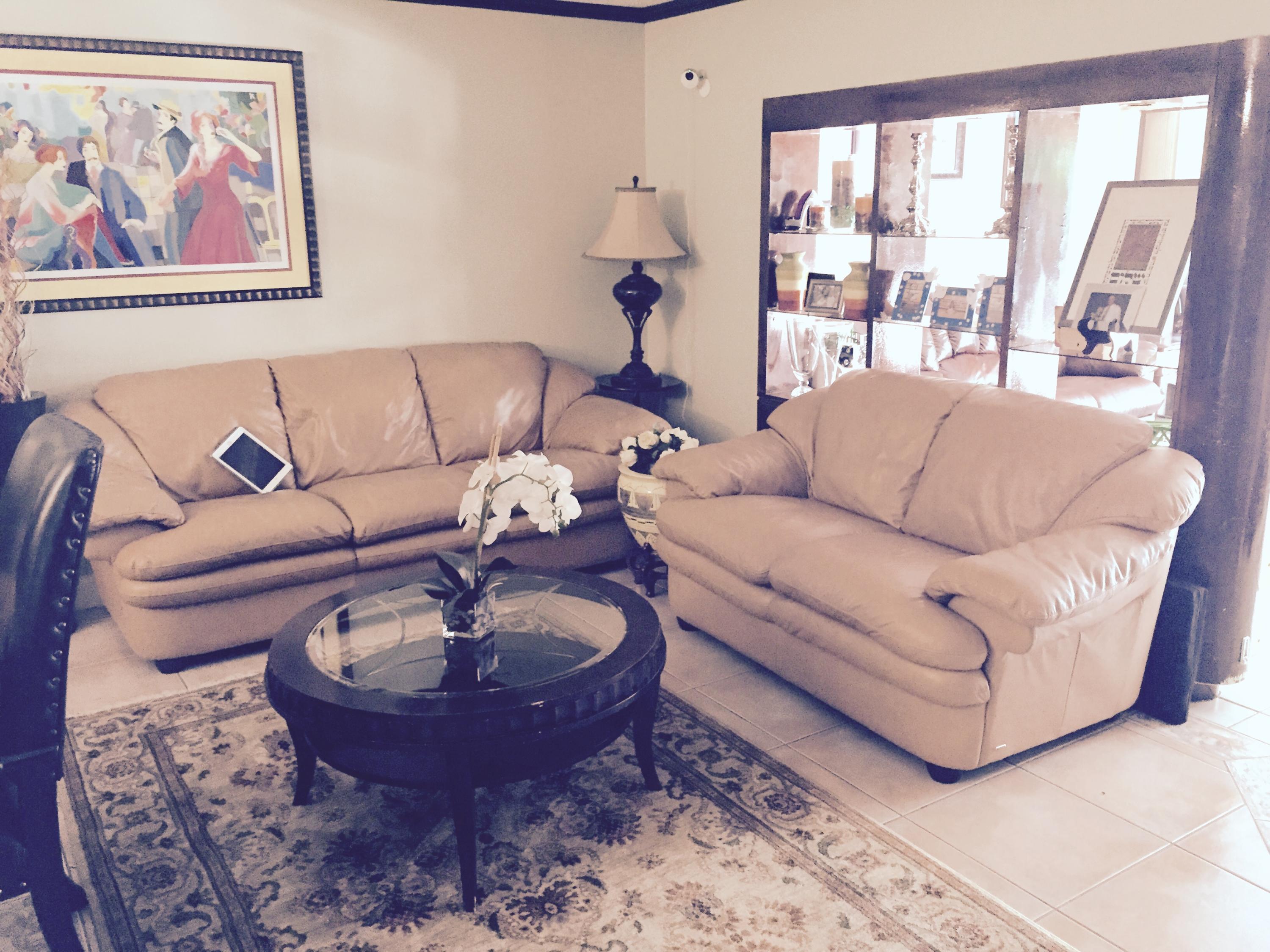 22380 Dorado Drive Boca Raton, FL 33433 - Photo 5 of 17 living room