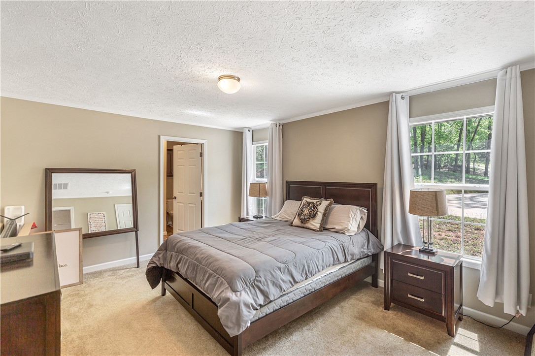 117 Horton Road Townville, SC 29689 - Photo 16 of 26