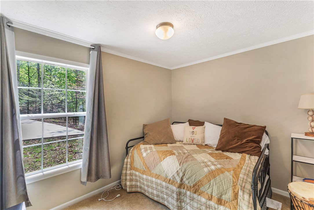 117 Horton Road Townville, SC 29689 - Photo 19 of 26