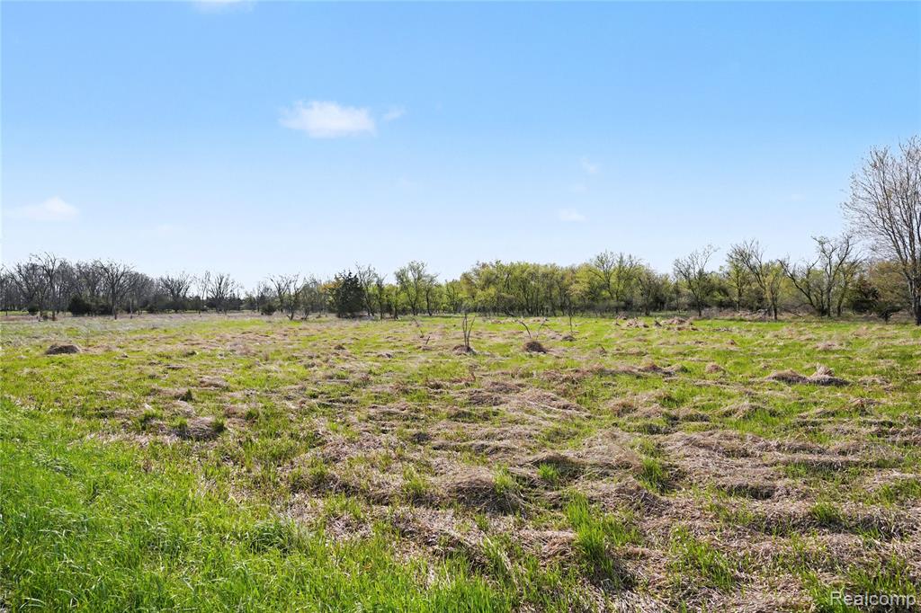 8857 Bath Road Byron, MI 48418 - Photo 11 of 17