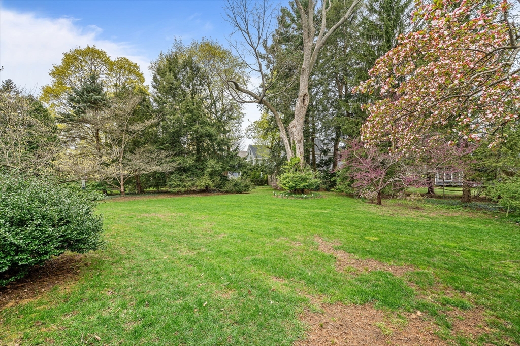 135 Court Street Dedham, MA 02026 - Photo 36 of 40 a view of a field with plants and trees