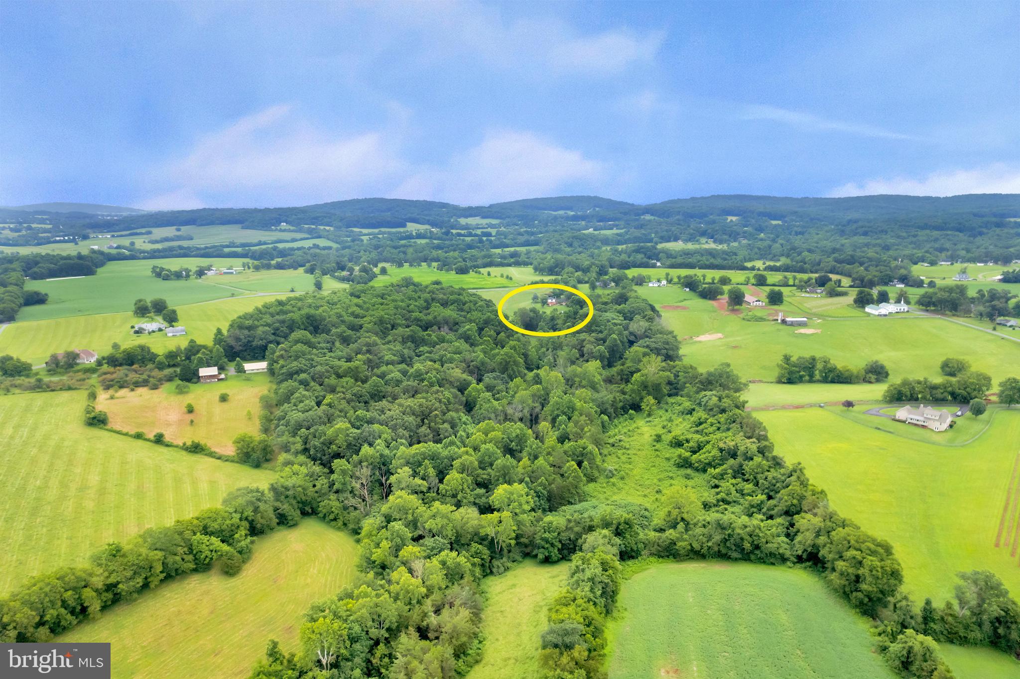11539 Spicers Mill Road Orange, VA 22960 - Photo 11 of 103