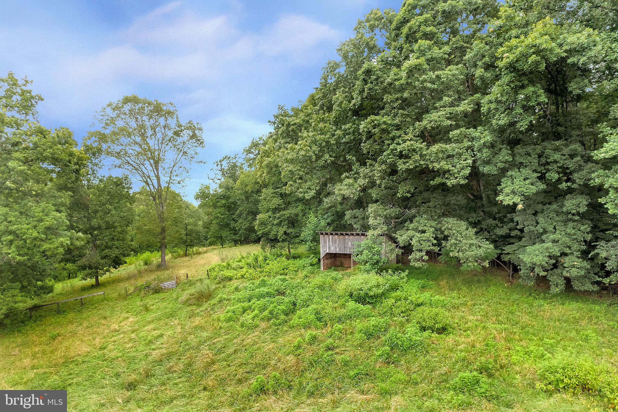 11539 Spicers Mill Road Orange, VA 22960 - Photo 17 of 103