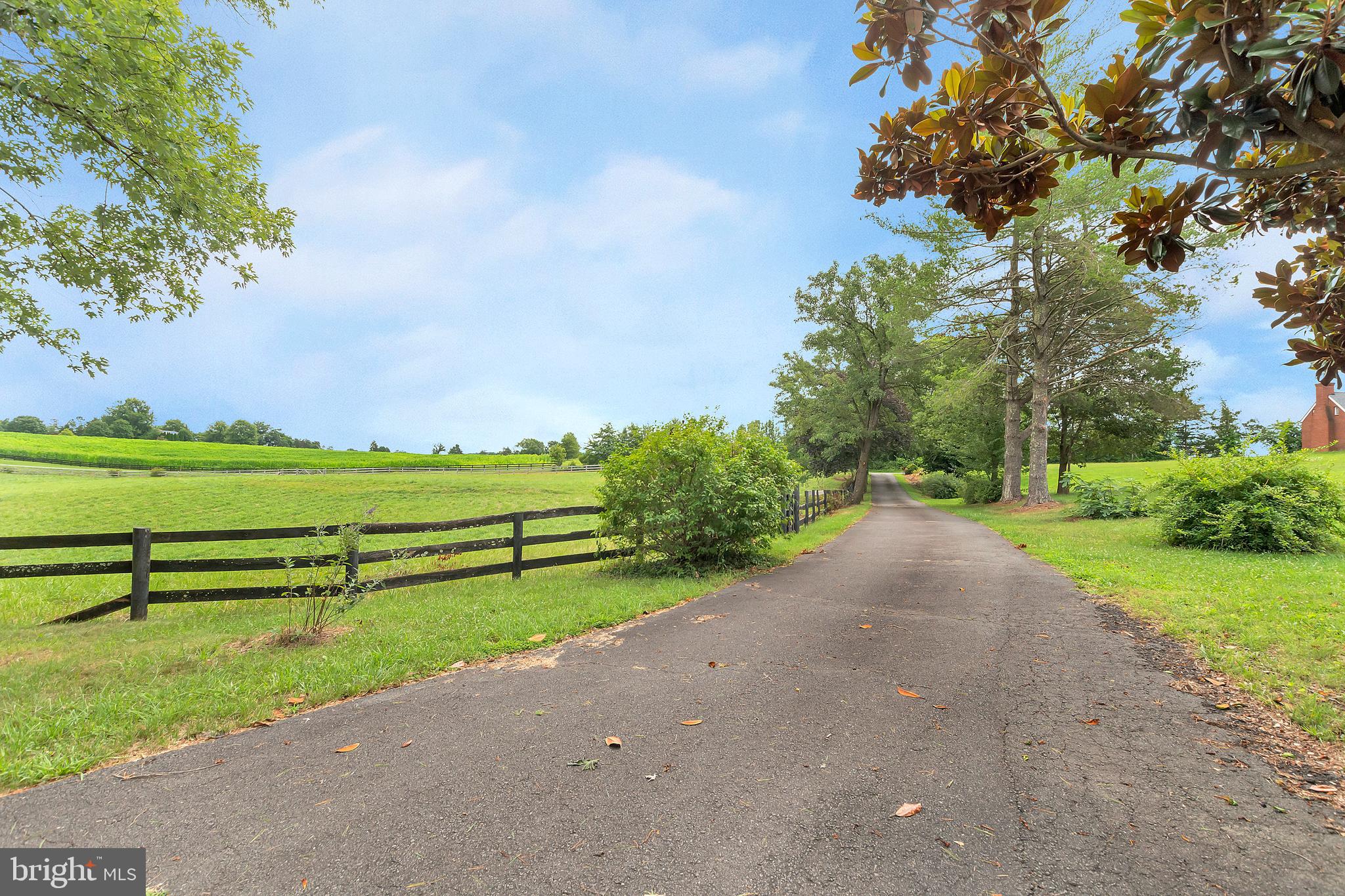 11539 Spicers Mill Road Orange, VA 22960 - Photo 22 of 103