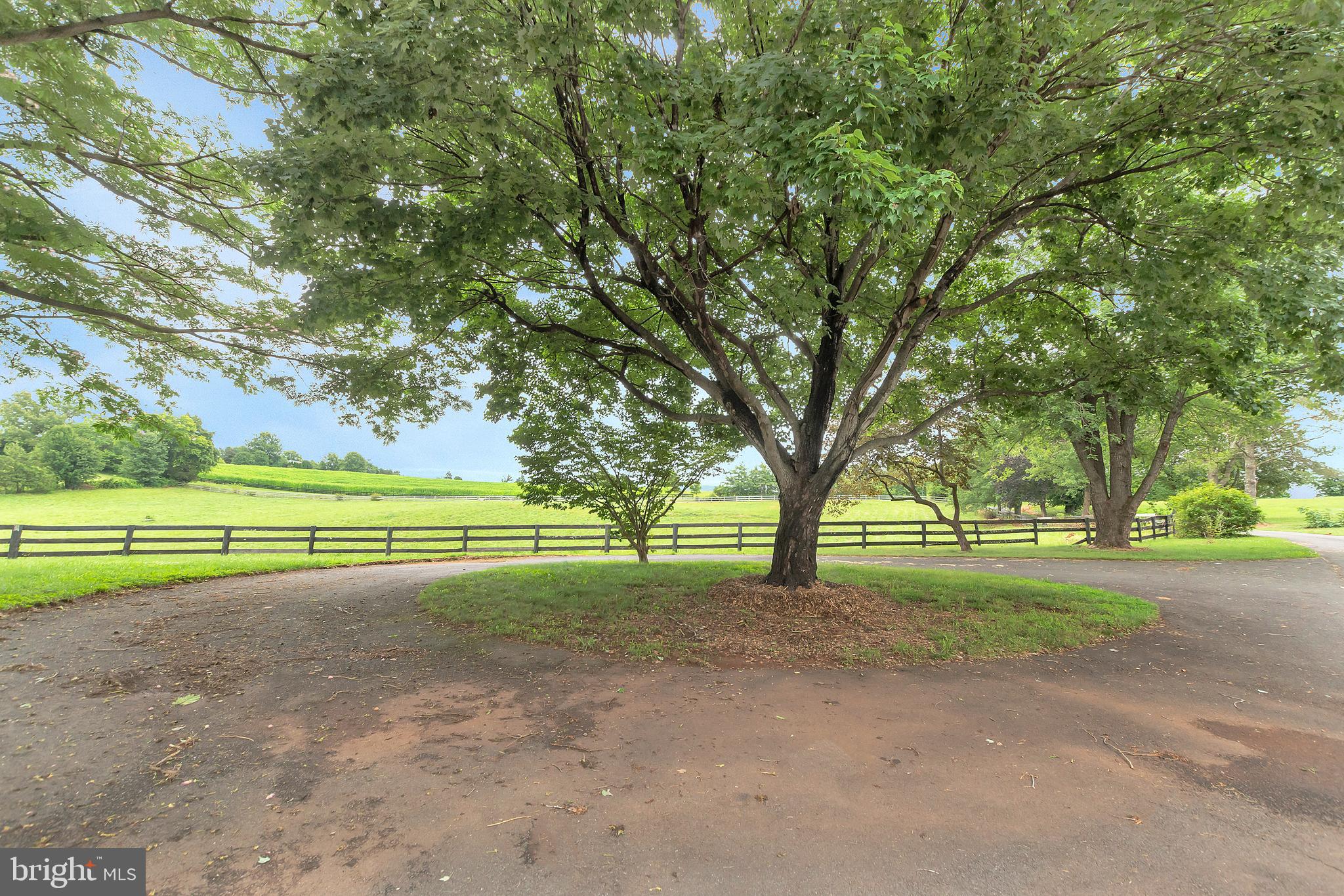 11539 Spicers Mill Road Orange, VA 22960 - Photo 29 of 103