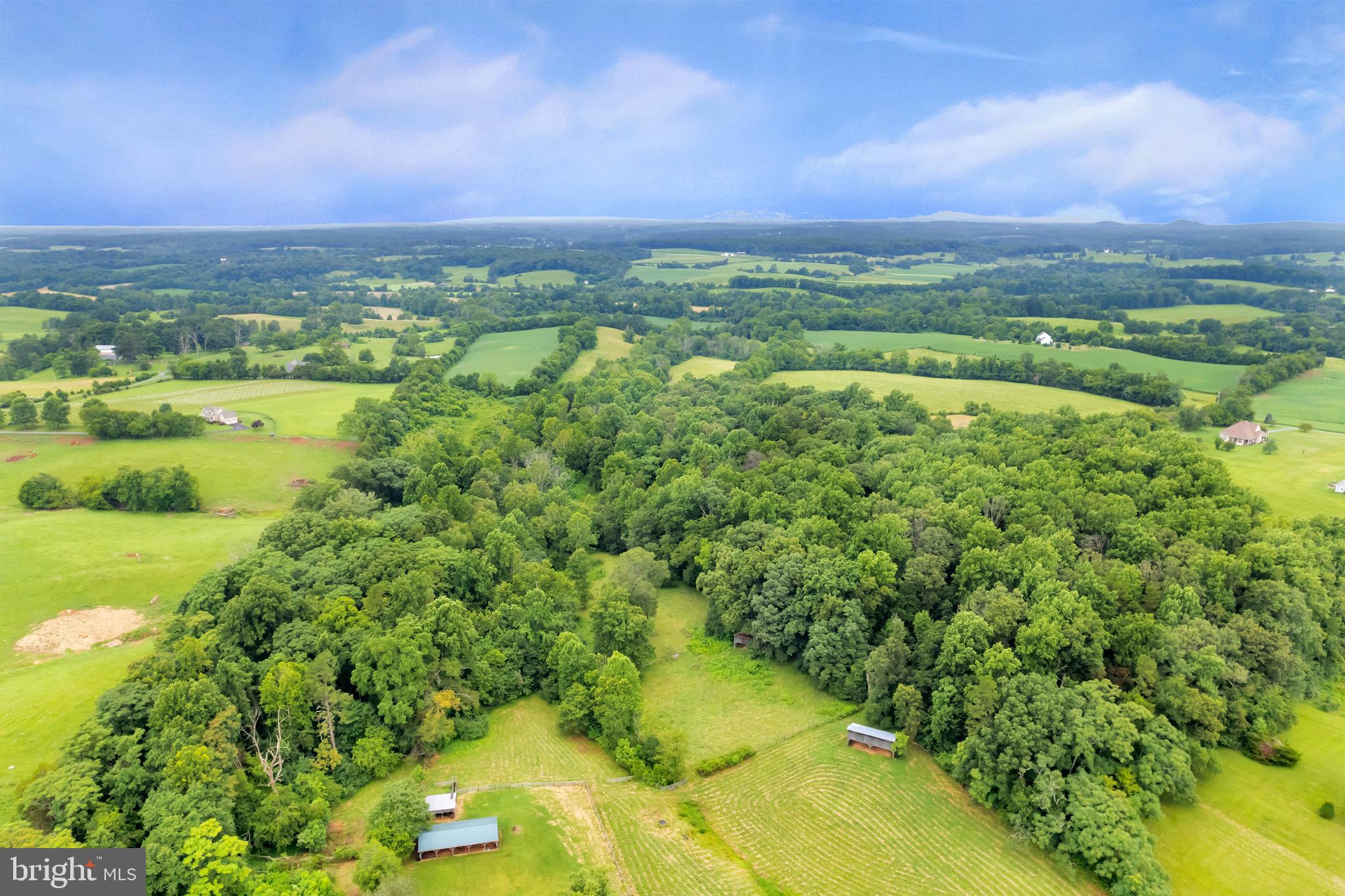 11539 Spicers Mill Road Orange, VA 22960 - Photo 9 of 103
