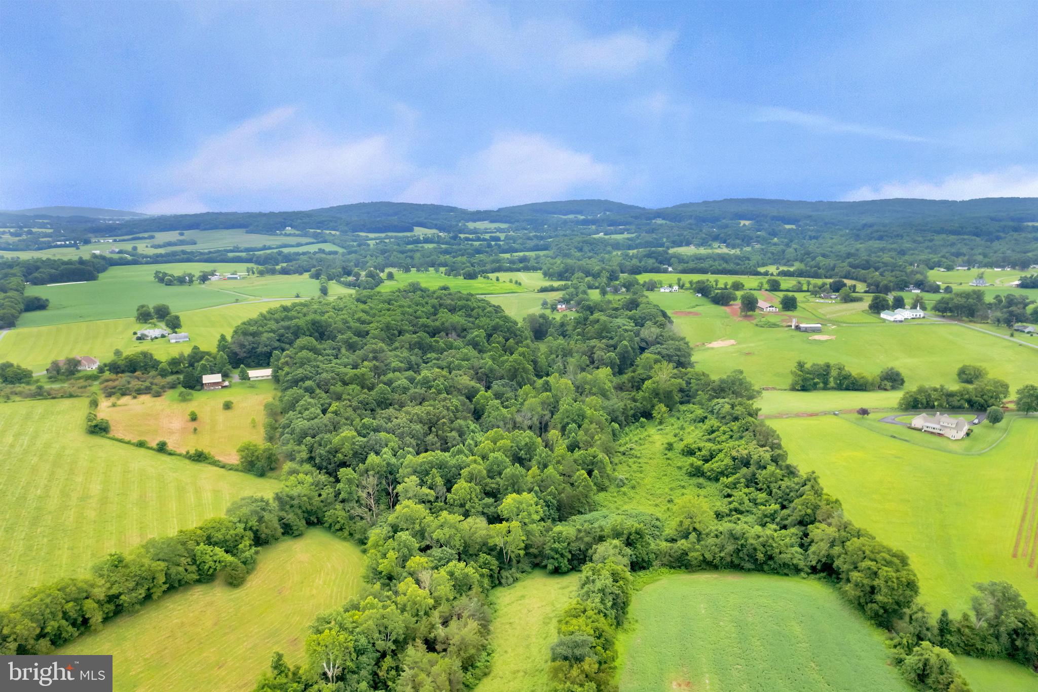 11539 Spicers Mill Road Orange, VA 22960 - Photo 10 of 103