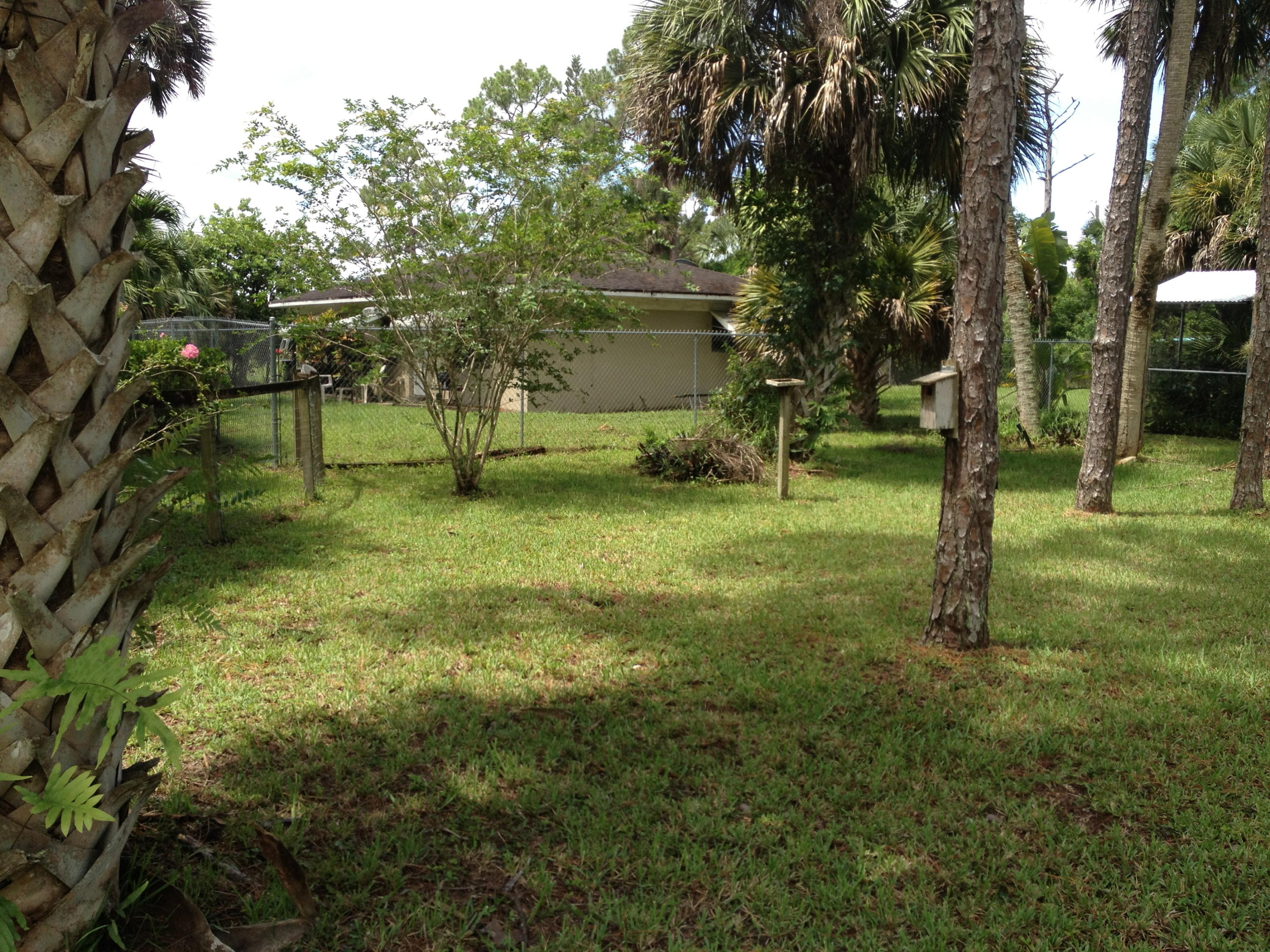 3509 E Road Loxahatchee Groves, FL 33470 - Photo 3 of 12 IMG_4786