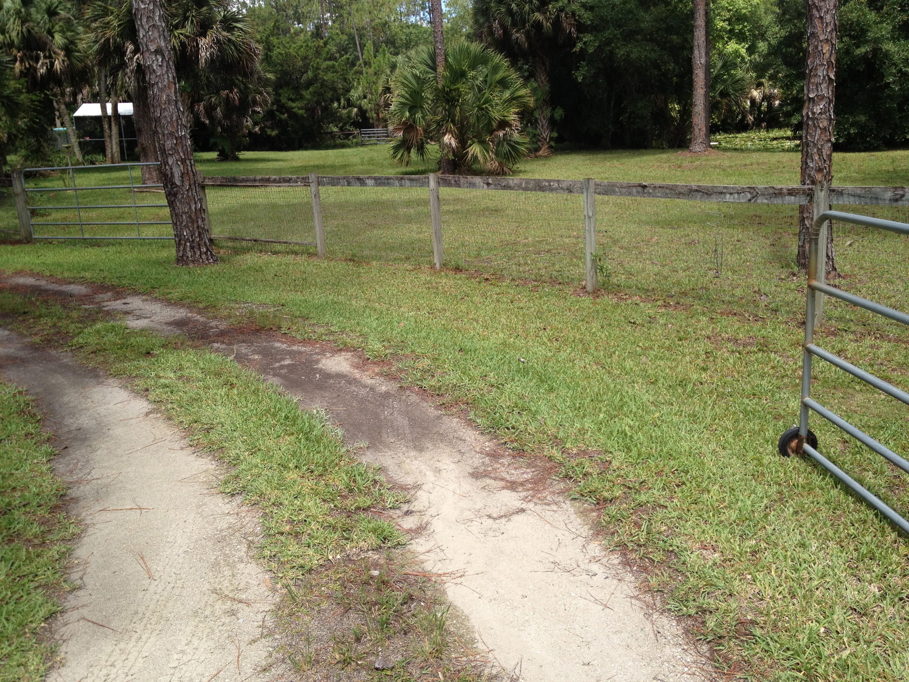 3509 E Road Loxahatchee Groves, FL 33470 - Photo 4 of 12 IMG_4785