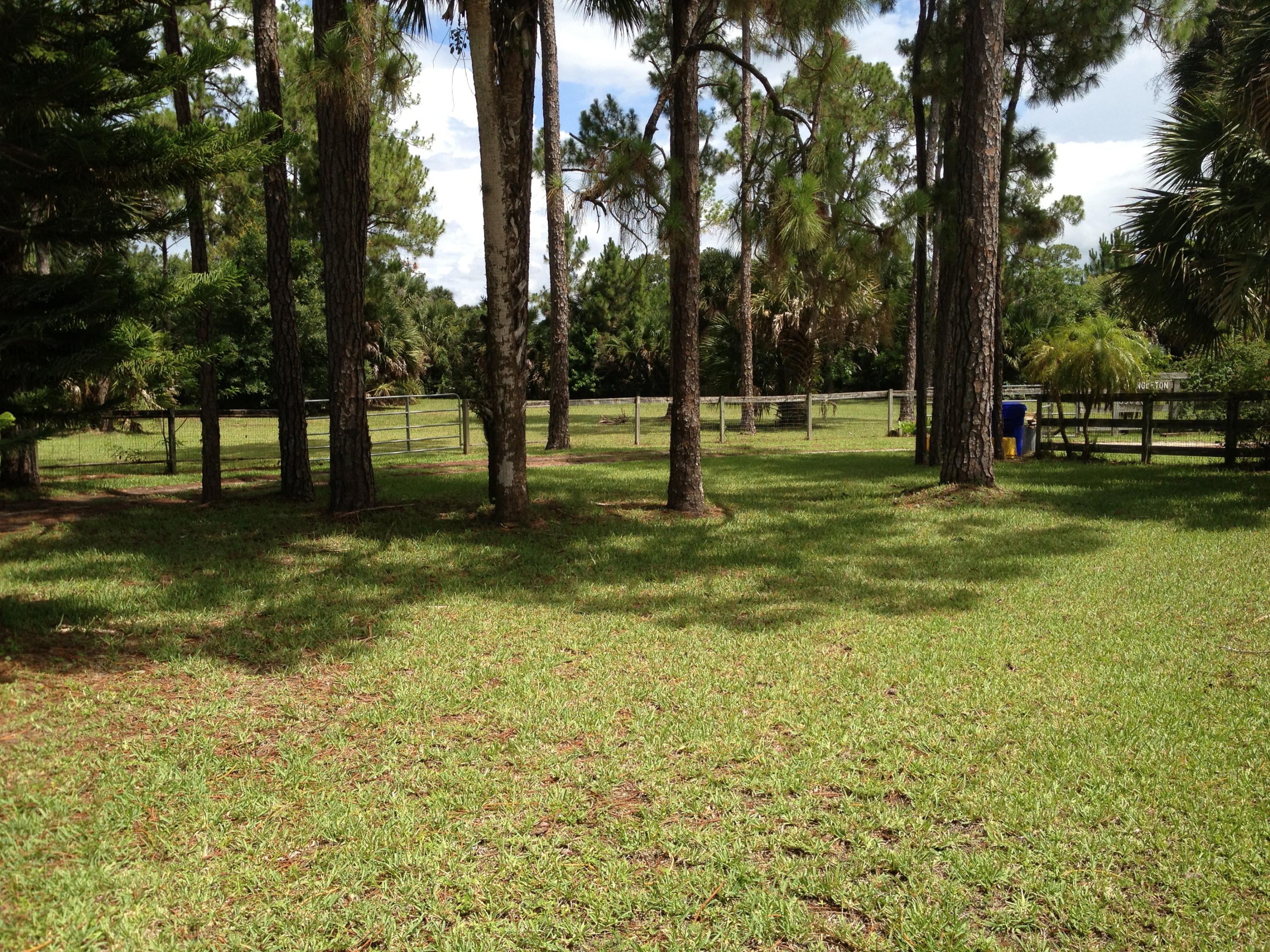 3509 E Road Loxahatchee Groves, FL 33470 - Photo 8 of 12 IMG_4781