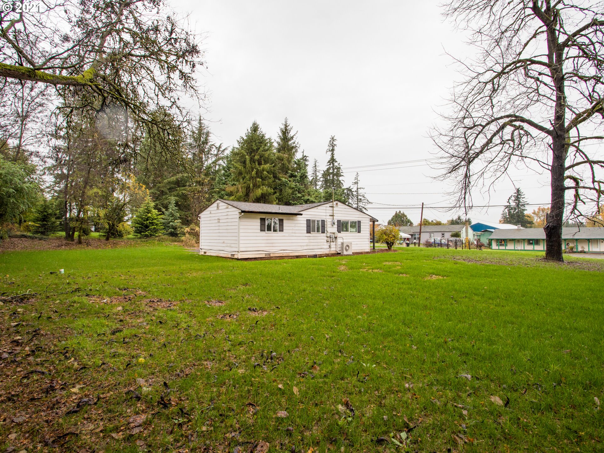 2517 Northeast 199th Street Ridgefield, WA 98642 - Photo 24 of 25 a view of a park with large trees