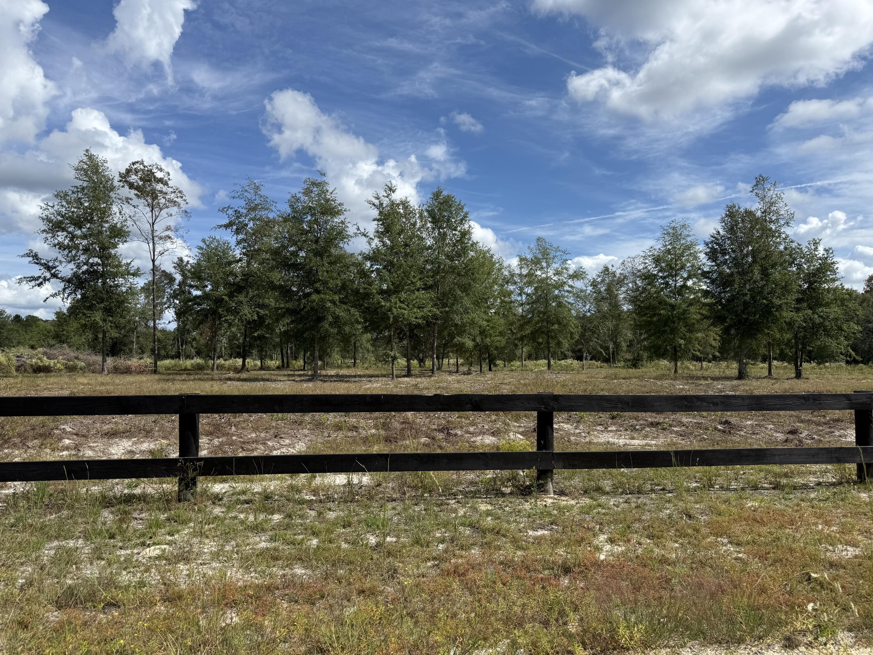Lot 10-4 Marion Road Dorchester, SC 29437 - Photo 2 of 4 IMG_2271