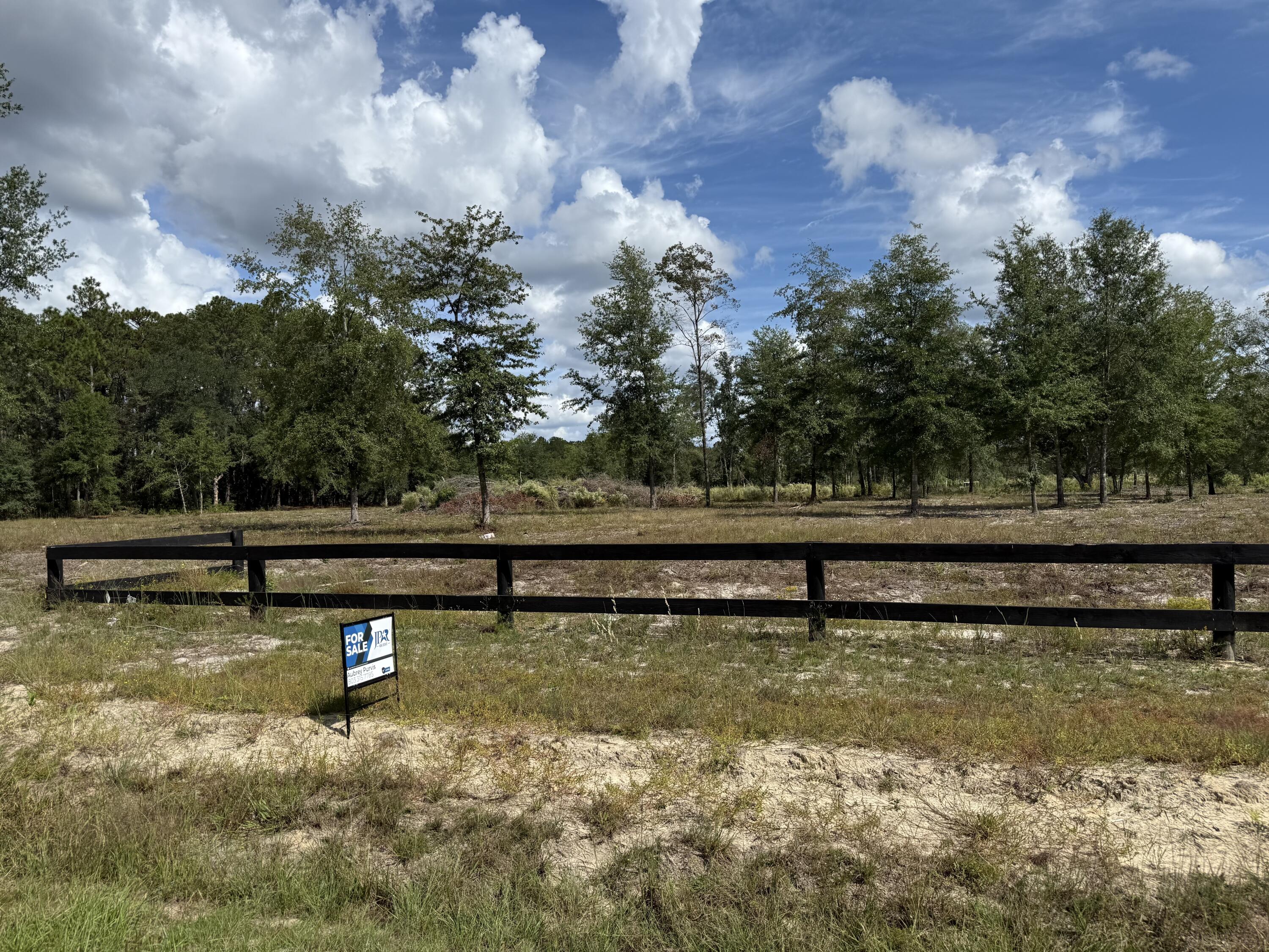 Lot 10-4 Marion Road Dorchester, SC 29437 - Photo 3 of 4 IMG_2270