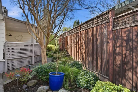 a potted plant sitting in front of a house