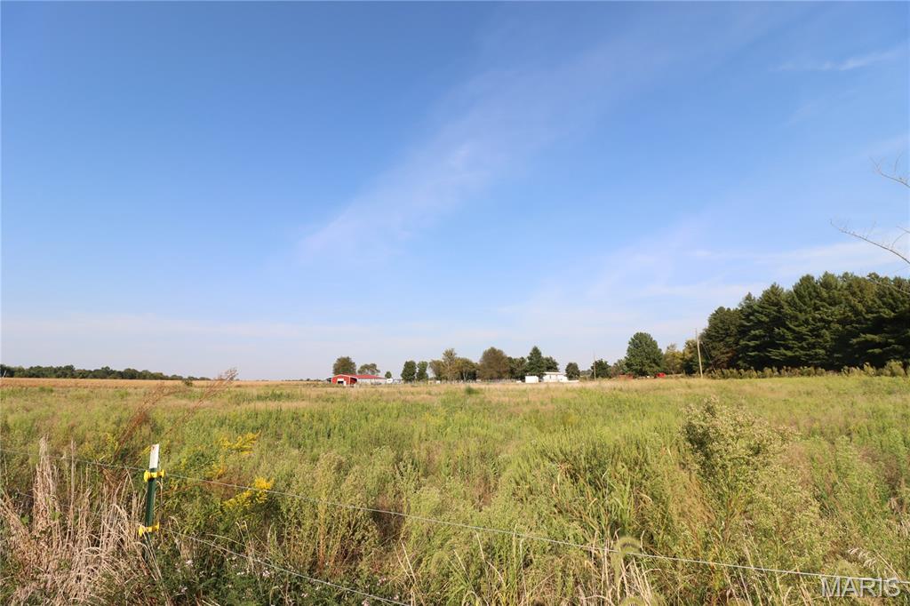 191 East 650 Avenue Mulberry Grove, IL 62262 - Photo 6 of 18