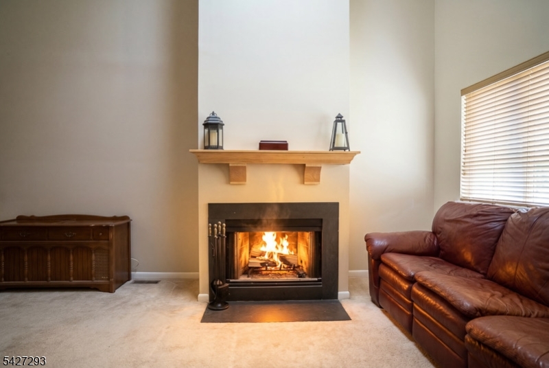 343 Falcon Ridge Way South Hamburg, NJ 07419 - Photo 6 of 27