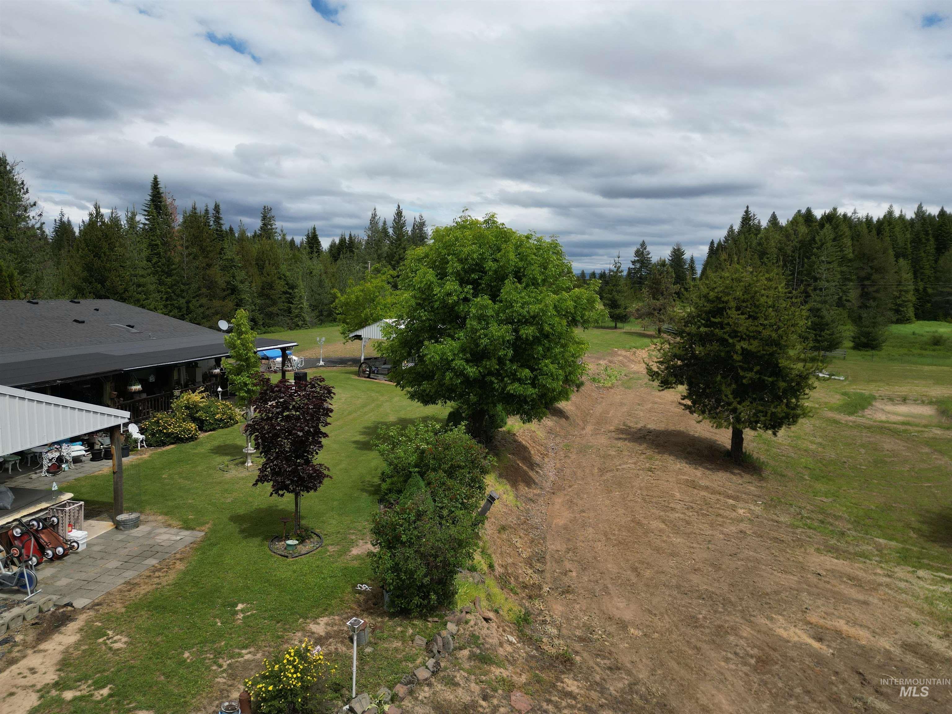 254 Lackey Road Weippe, ID 83553 - Photo 33 of 38 Expansive landscaped grounds featuring mature trees, a manicured lawn, and a large paved patio area