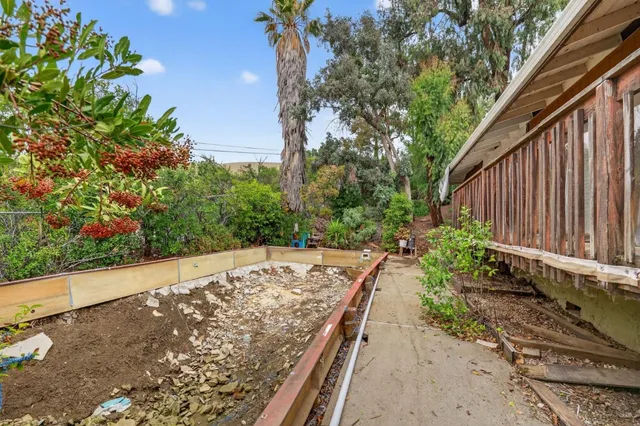 a view of a backyard with pathway