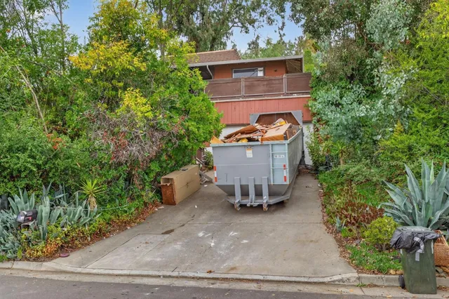 a view of a garden with plants