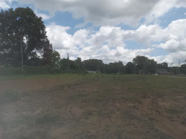 a view of a field of grass and trees