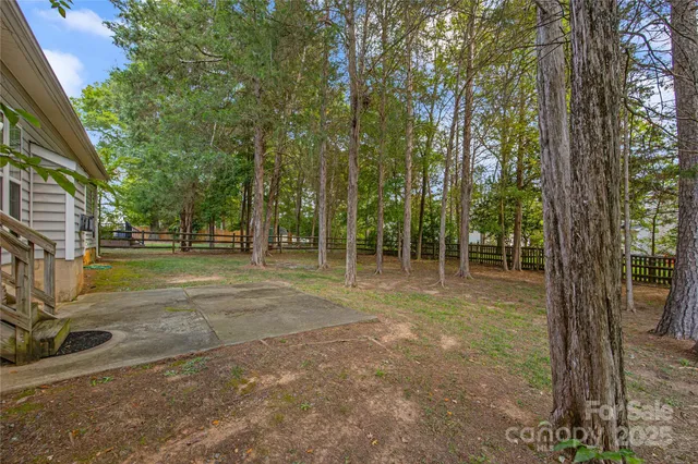 a view of a trees in a yard