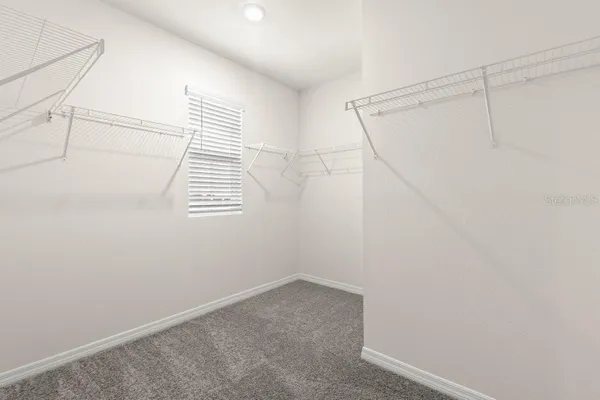 $2,695 | 31470 Penny Surf Loop, Wesley Chapel, FL 33545