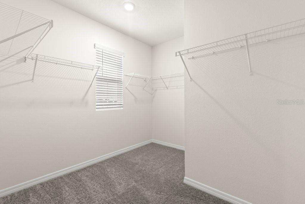 31470 Penny Surf Loop Wesley Chapel, FL 33545 - Photo 17 of 28