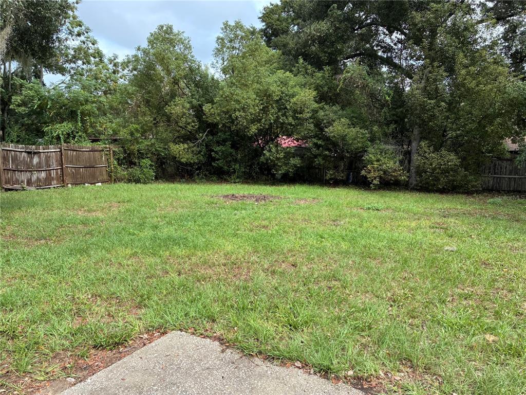 470 Southwest Dove Street Keystone Heights, FL 32656 - Photo 19 of 20 a view of a yard with a trees