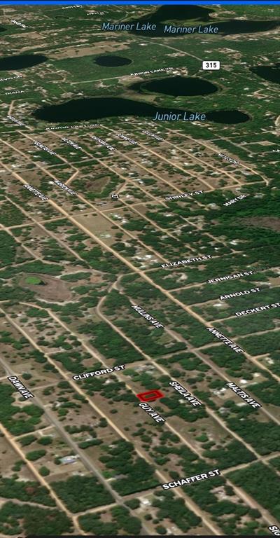 24 Guy Avenue Interlachen, FL 32148 - Photo 3 of 4