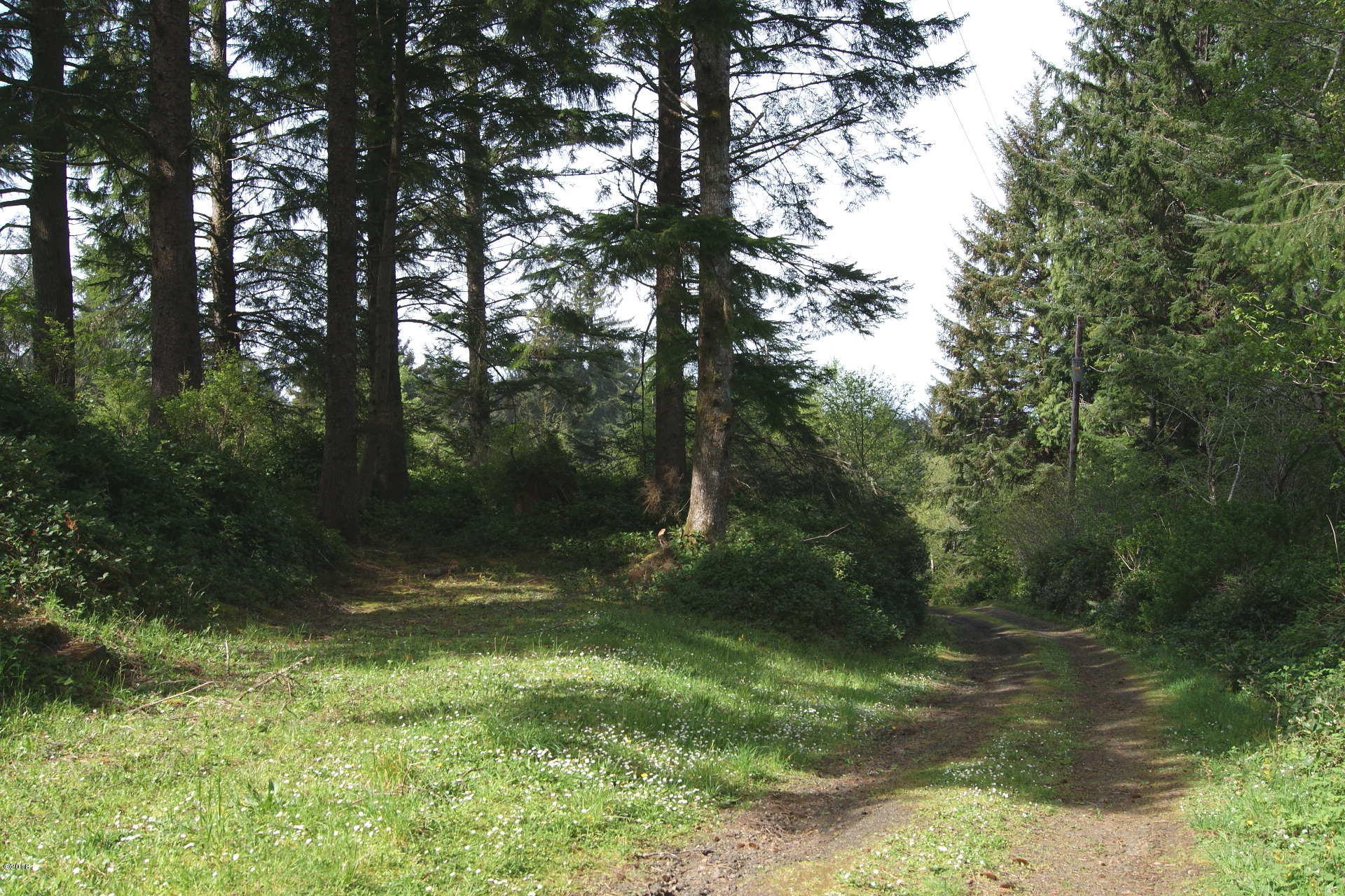 Lot301-303 East Lot301-303 E Line Road Springfield, OR 97477 - Photo 3 of 7 Lot 302 Road on North side
