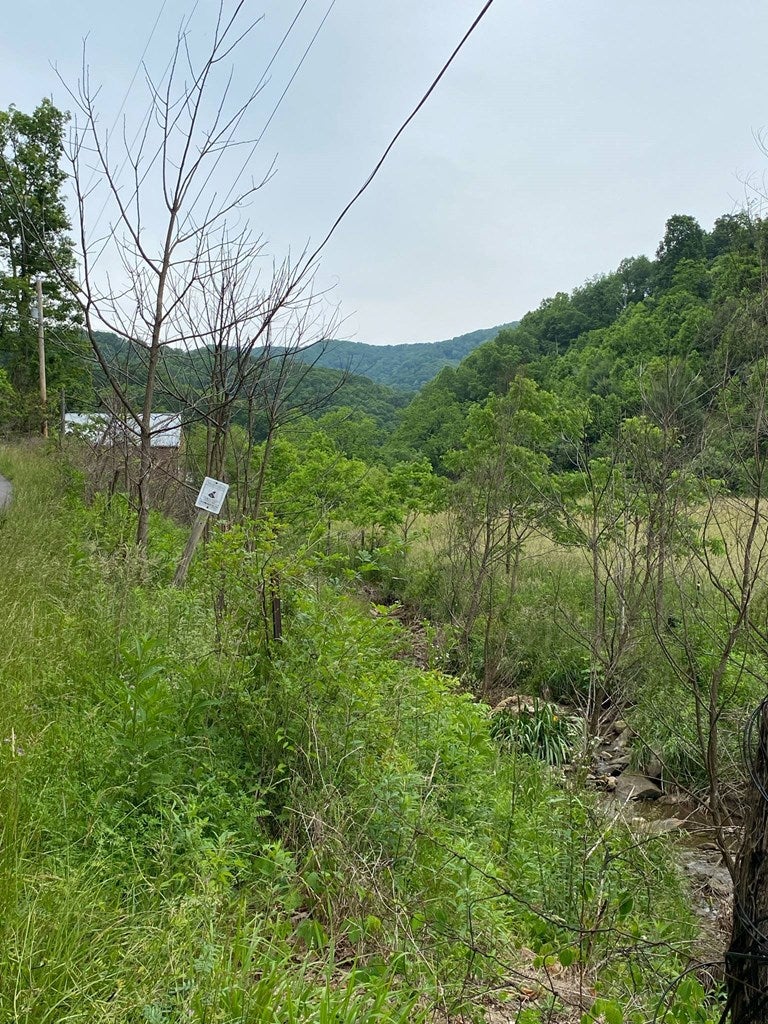 204 Daniels Road, Unit 25A Bandy, VA 24602 - Photo 2 of 4 Gallery Image 2