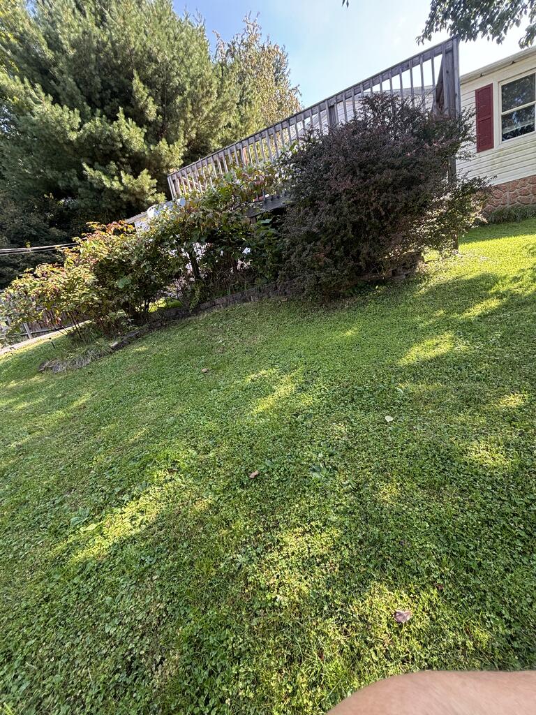 208 Riffe Street Sophia, WV 25921 - Photo 11 of 43 Gallery Image 11