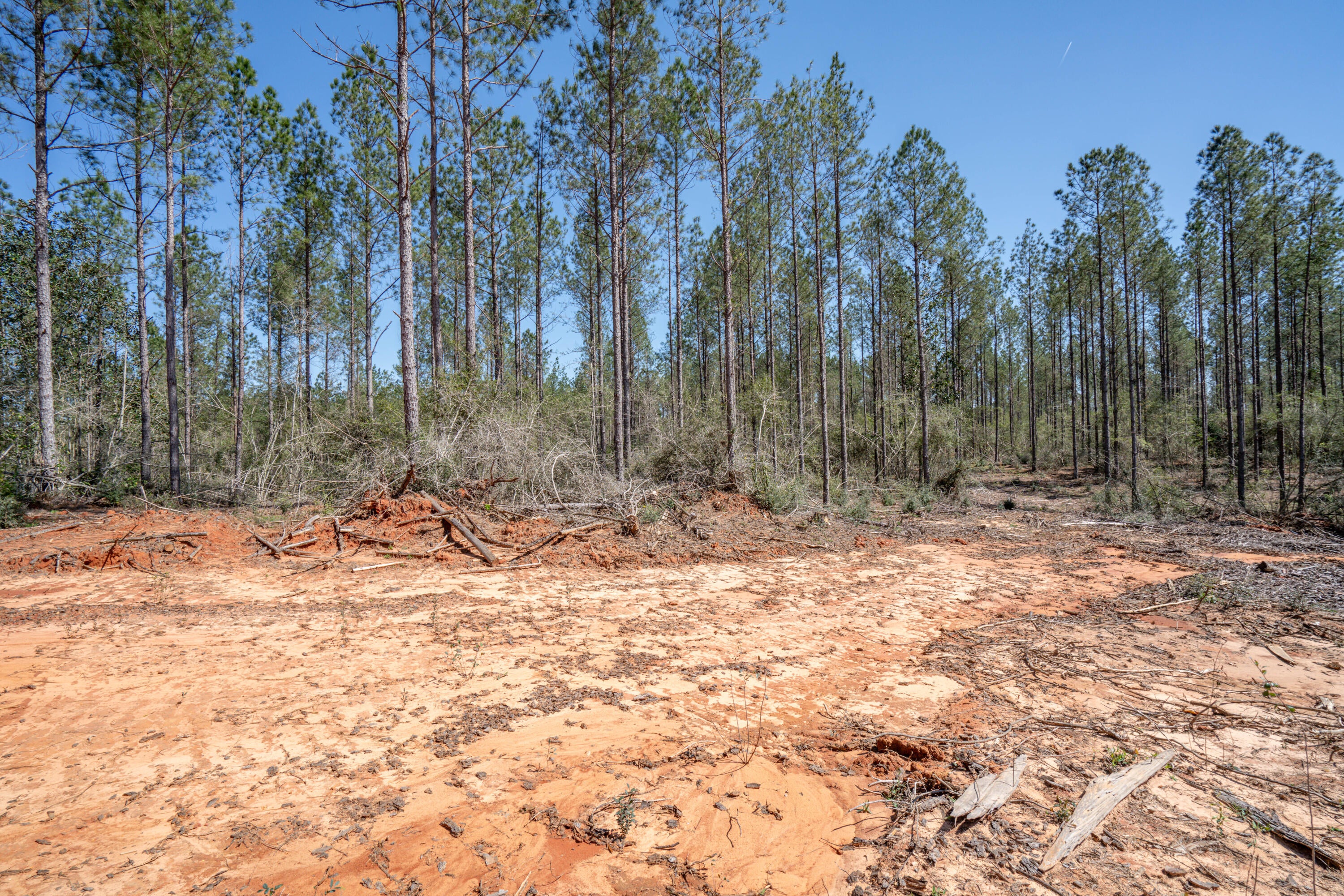 Lot 10 Timothy Road Ellisville, MS 39437 - Photo 12 of 17 Gallery Image 12