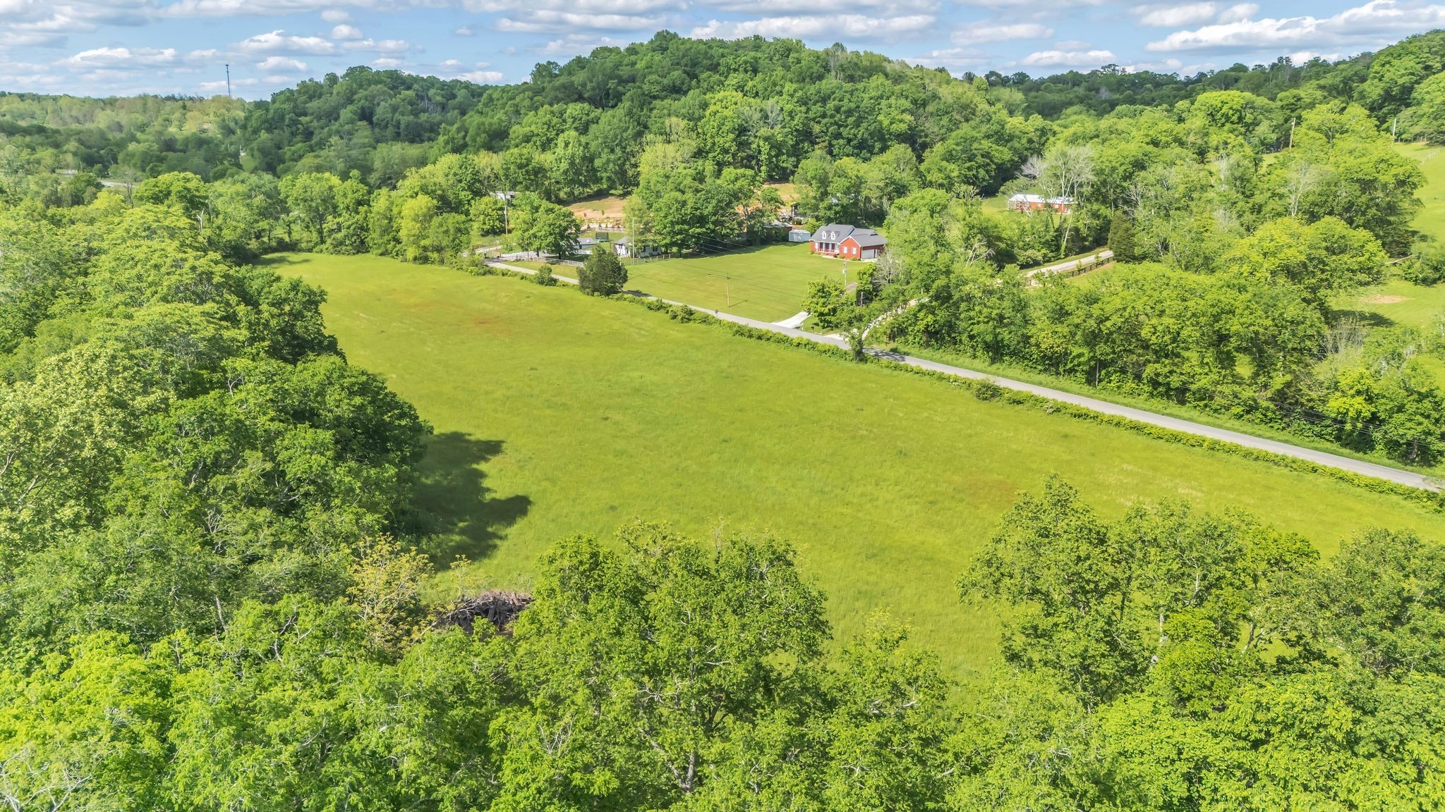 1 Fly Road Santa Fe, TN 38482 - Photo 12 of 13 a view of a large yard with plants and large trees