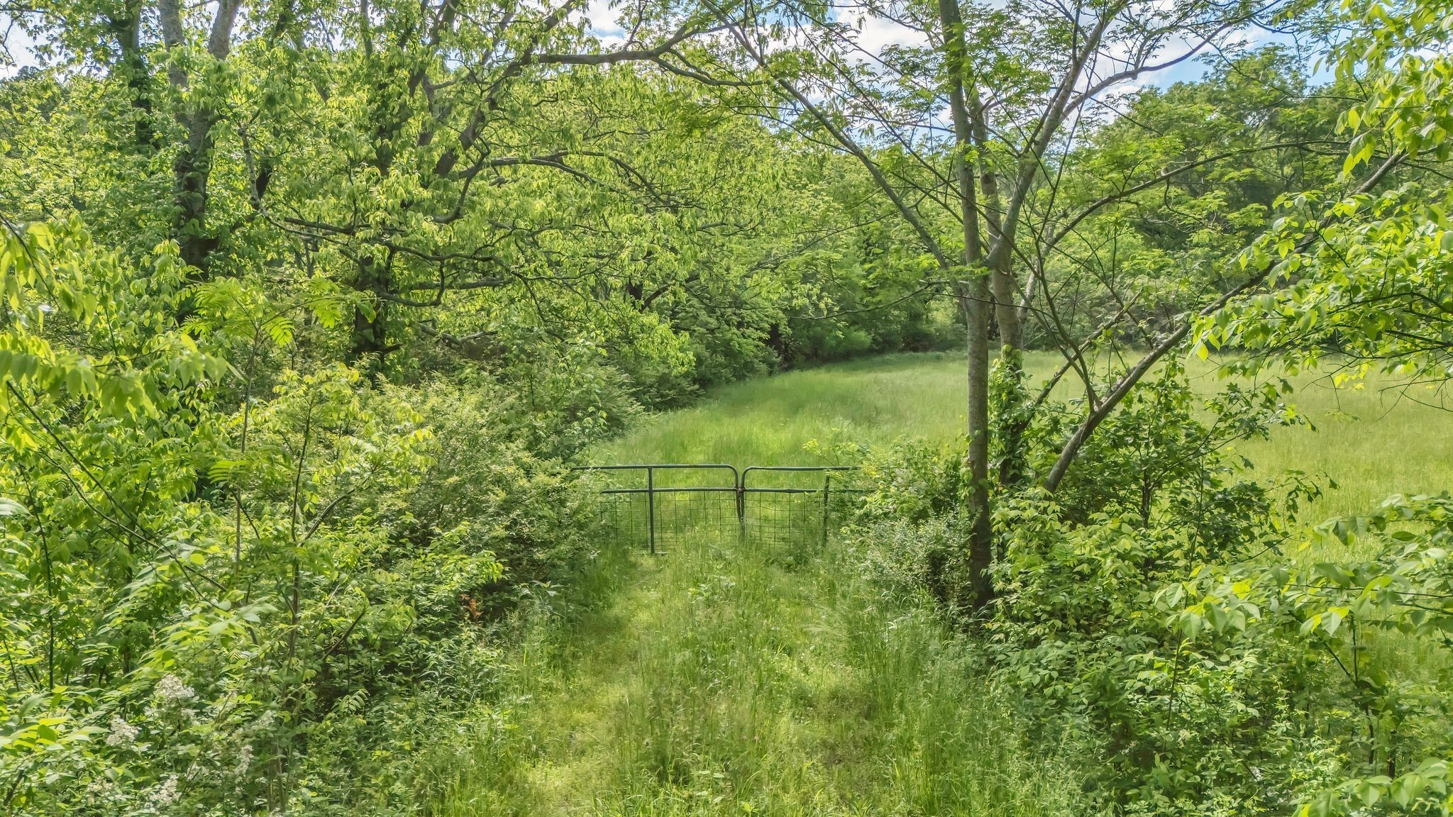 1 Fly Road Santa Fe, TN 38482 - Photo 4 of 13 a view of a garden