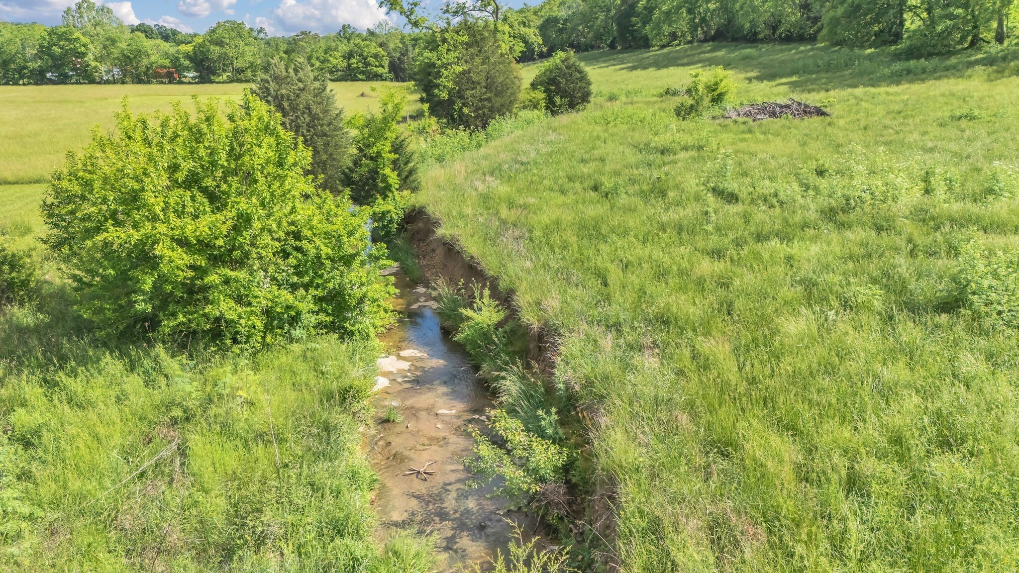1 Fly Road Santa Fe, TN 38482 - Photo 5 of 13 a view of a garden with a lake