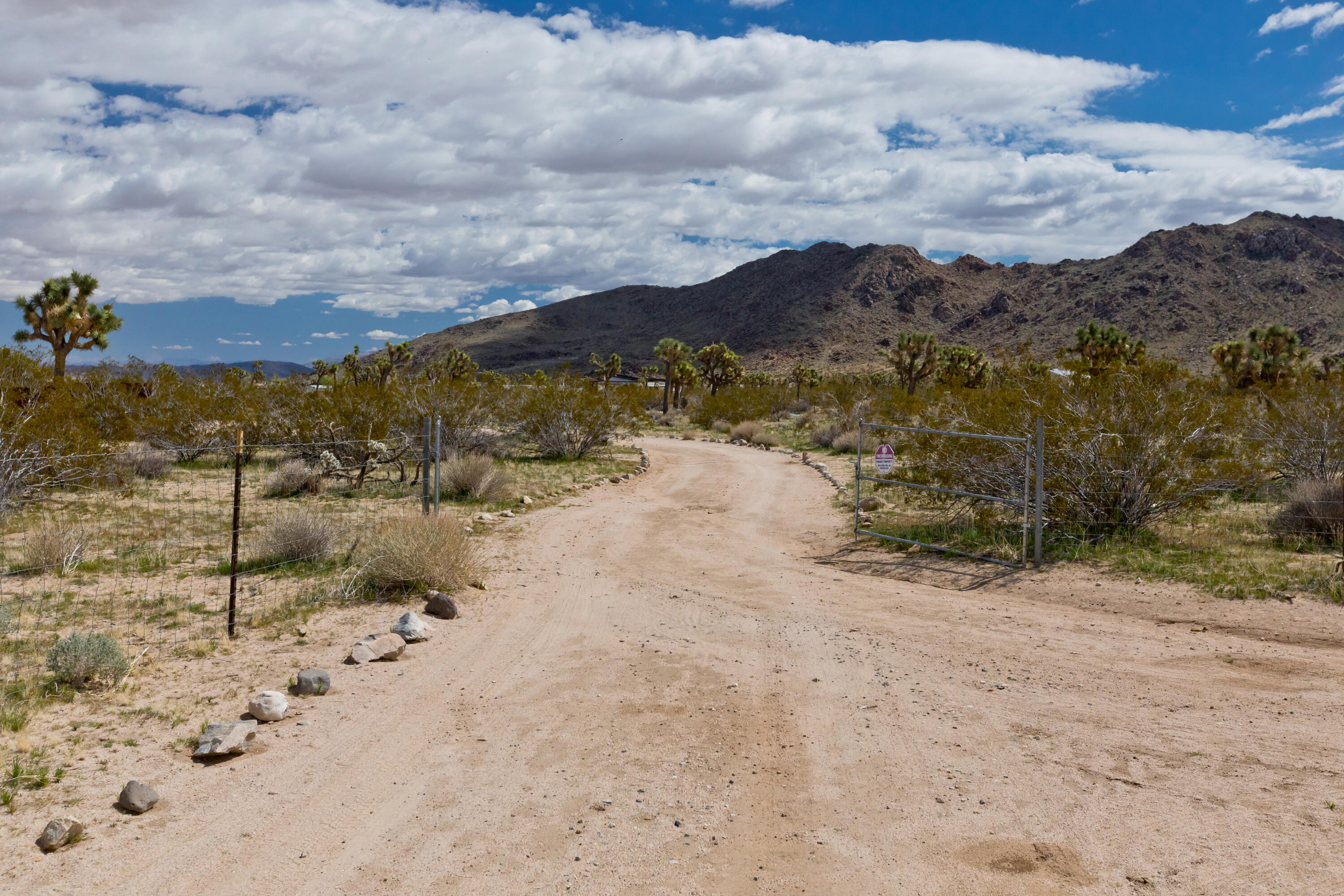 3663 Olympic Road Joshua Tree, CA 92252 - Photo 41 of 50 _10A5881