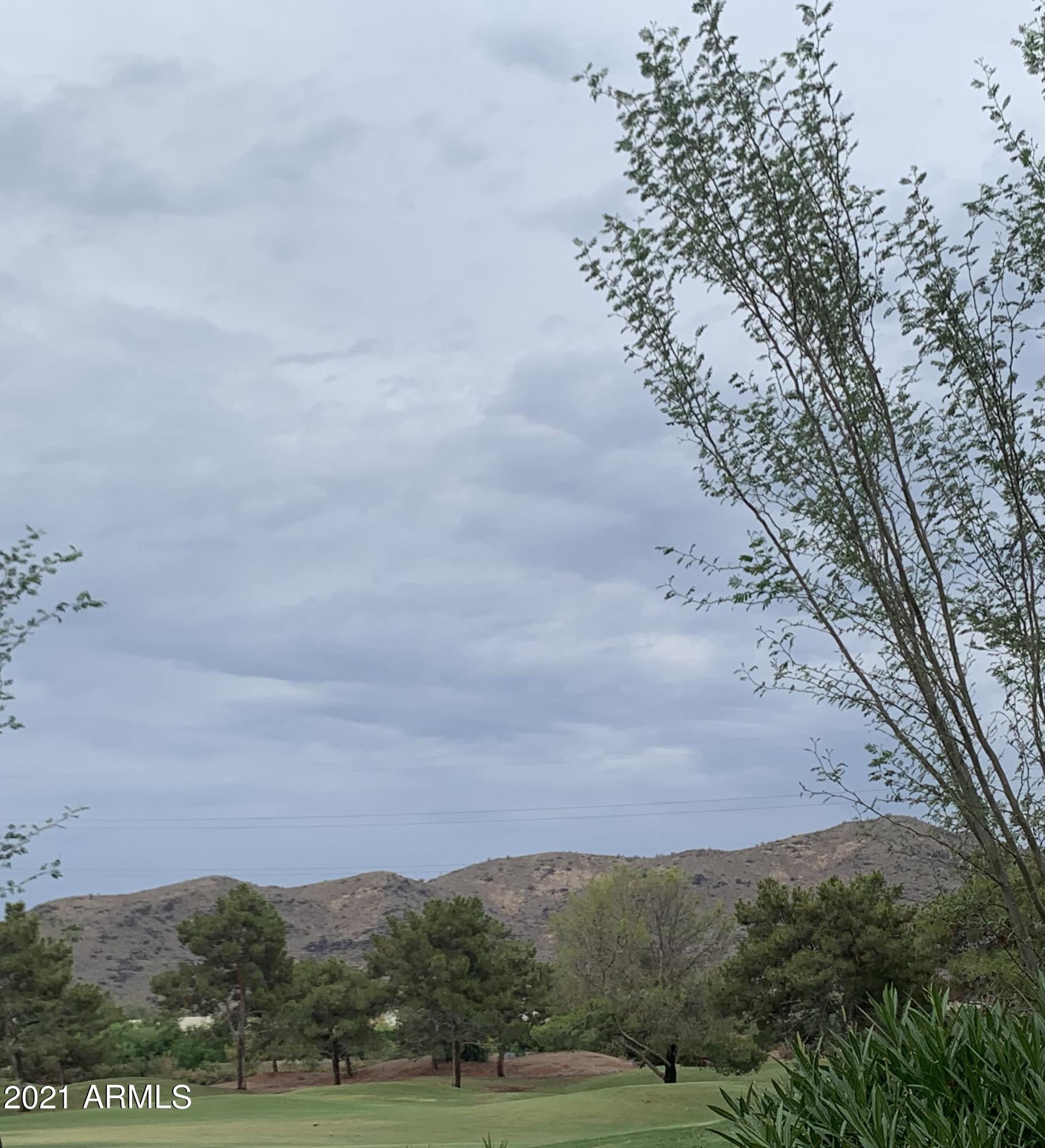 3303 East Fremont Road Phoenix, AZ 85042 - Photo 37 of 37 Backyard view