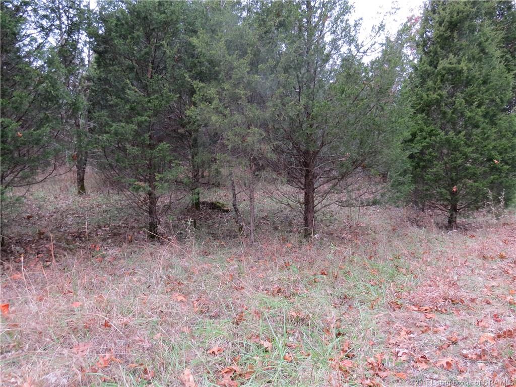 North Vanlaningham Road Milltown, IN 47145 - Photo 5 of 38 Gallery Image 5