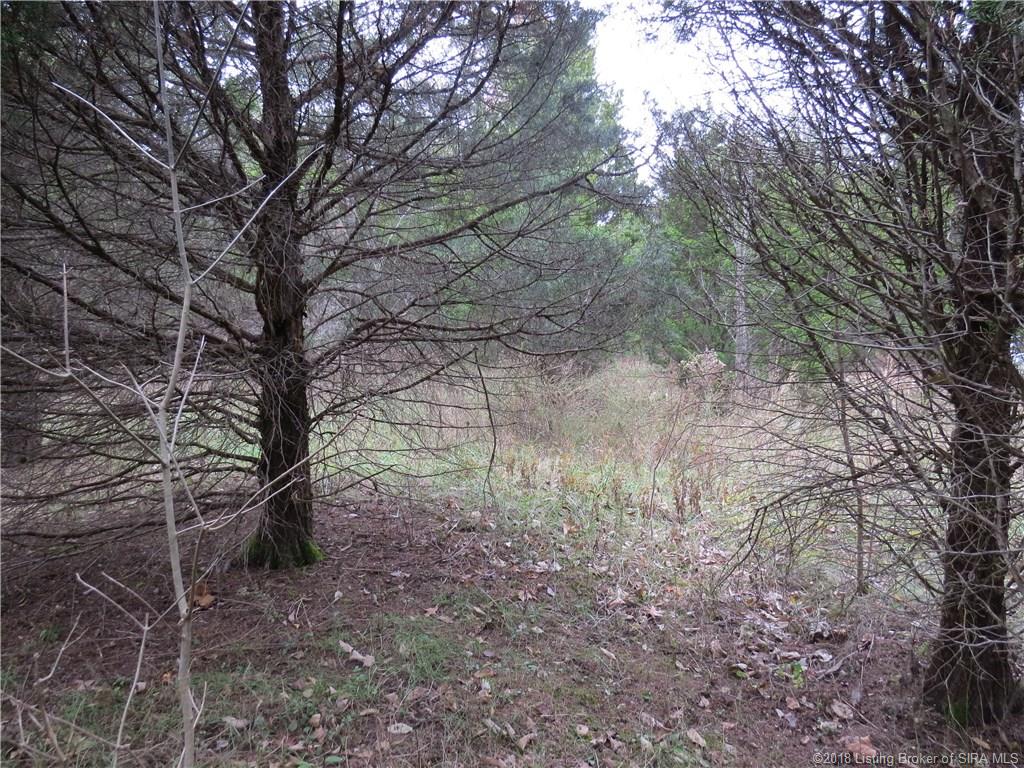 North Vanlaningham Road Milltown, IN 47145 - Photo 10 of 38 Gallery Image 10