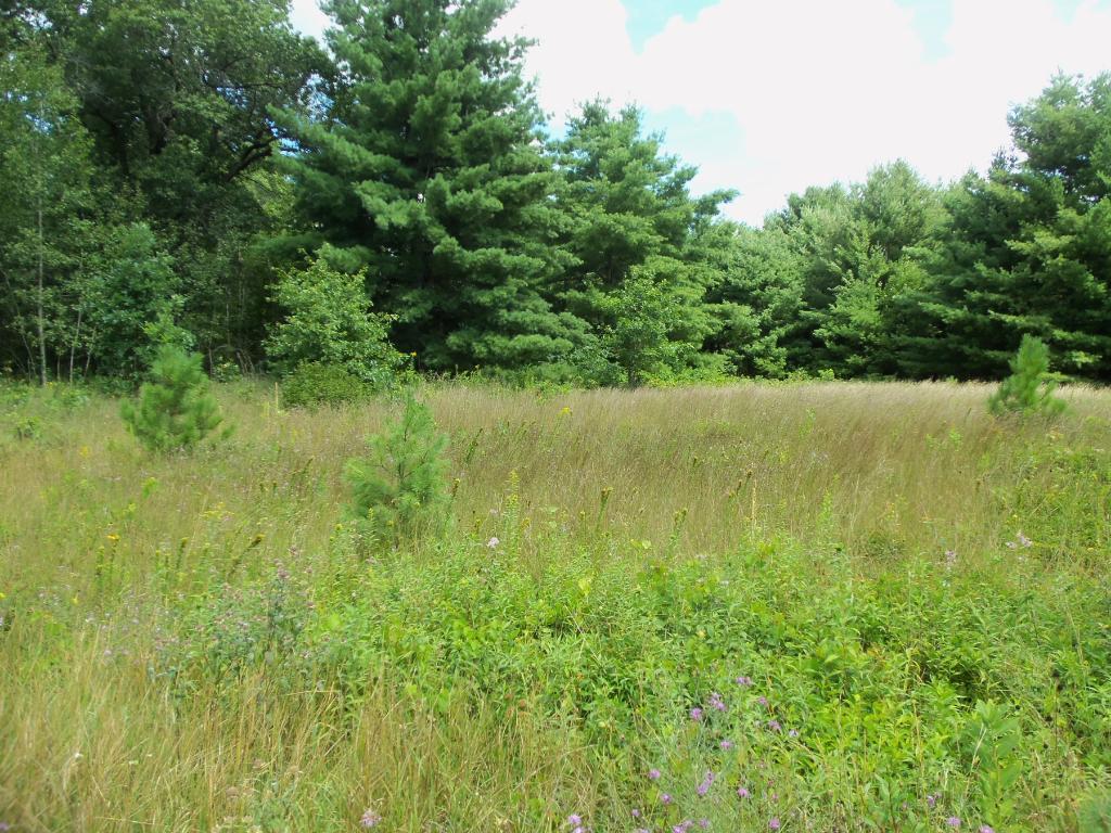 Lot 2 Mansfield Road Webster, WI 54893 - Photo 1 of 1 Gallery Image 1