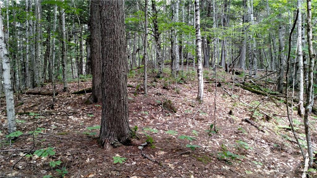 0 East Dixmont Road Monroe, ME 04951 - Photo 29 of 34 Photo