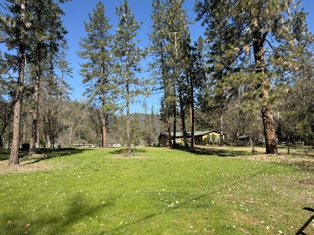 121 Wellock Road Lewiston, CA 96052 - Photo 49 of 56 IMG_4200