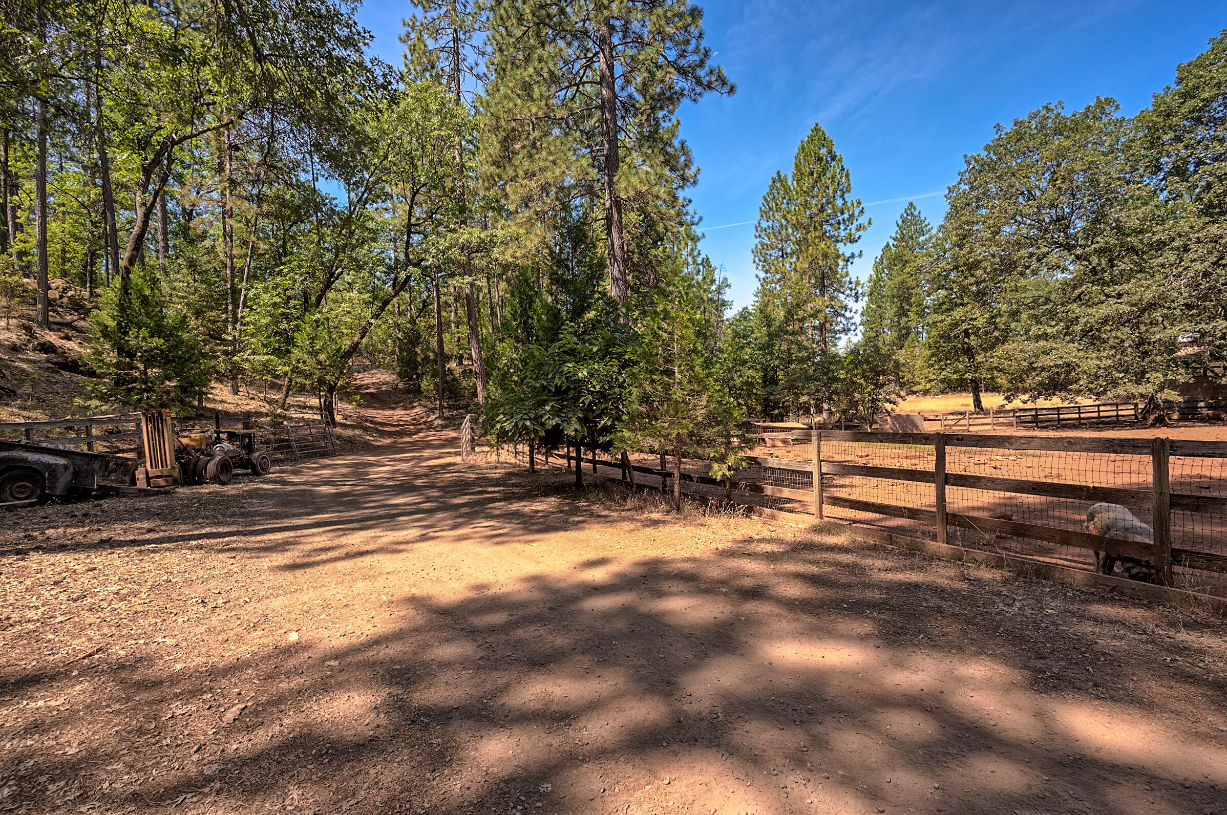 12003 Atkins Road Whitmore, CA 96096 - Photo 25 of 36 Drive around property
